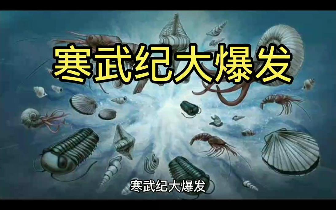 寒武纪大爆发!魔法师全新F5游戏本评测
