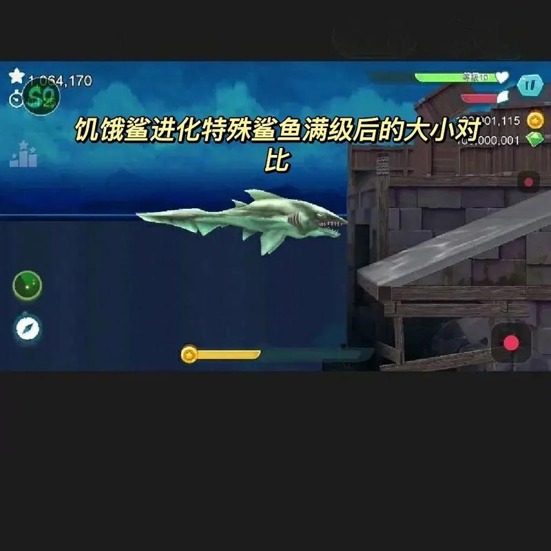 饥饿鲨进化大白鲨好还是雷电好
