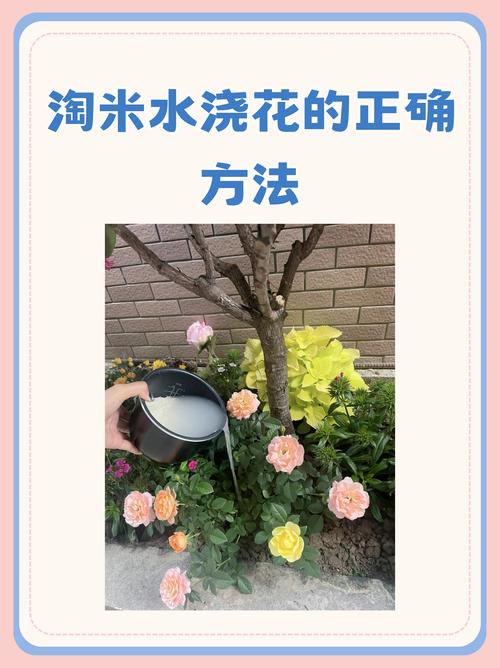 手机QQ空间怎么玩浇花