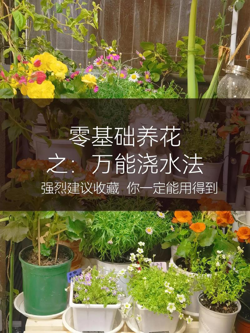 qq偷菜游戏手机怎么进入