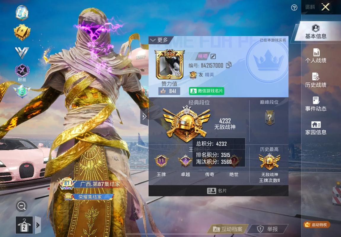 和平精英游戏账号怎么看