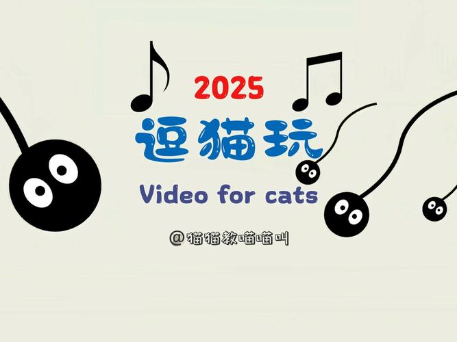 逗小猫玩的触屏游戏
