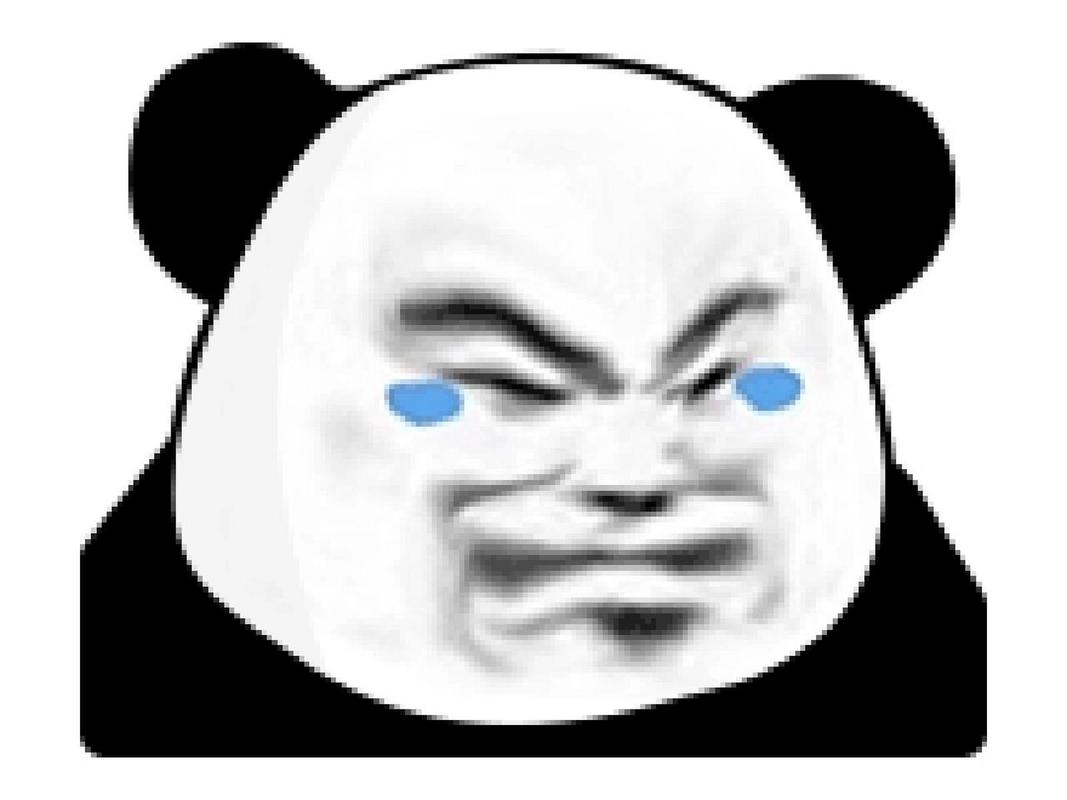 搞笑熊猫人是啥