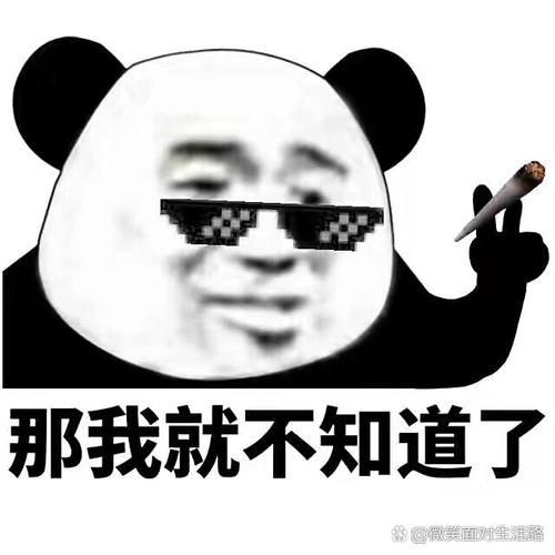 搞笑熊猫人百度网盘下载地址
