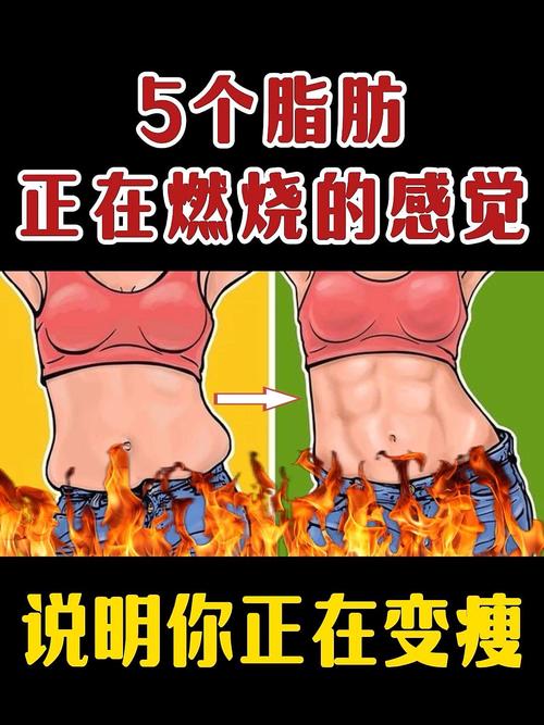 猫和老鼠游戏哔哩哔哩版