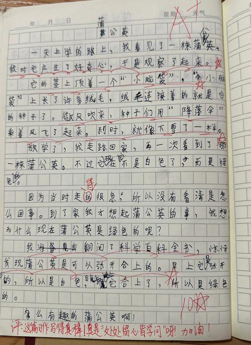 三年级语文书79页的作文怎么写150个字