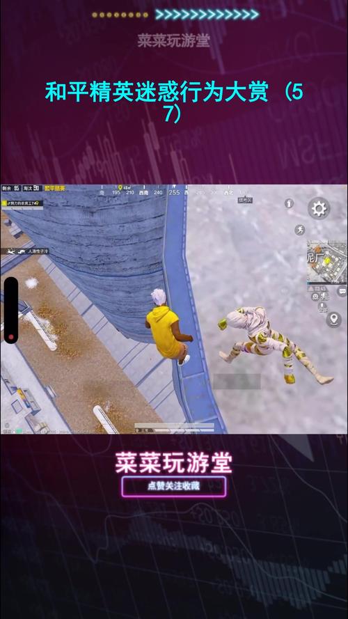 奇葩战斗家怪博士怎么样_怪博士详解