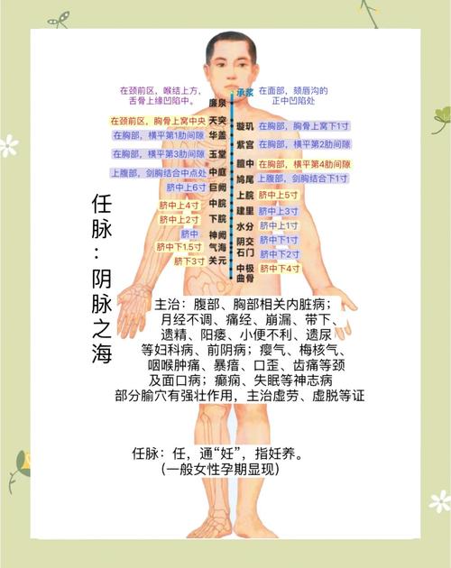 打通任督二脉《校花的贴身高手3D》技能全解介绍_打通任督二脉《校花的...