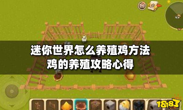 迷你世界里怎么能让鸡生小鸡