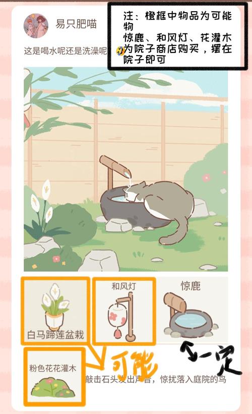 《遇见你的猫》房间布局攻略
