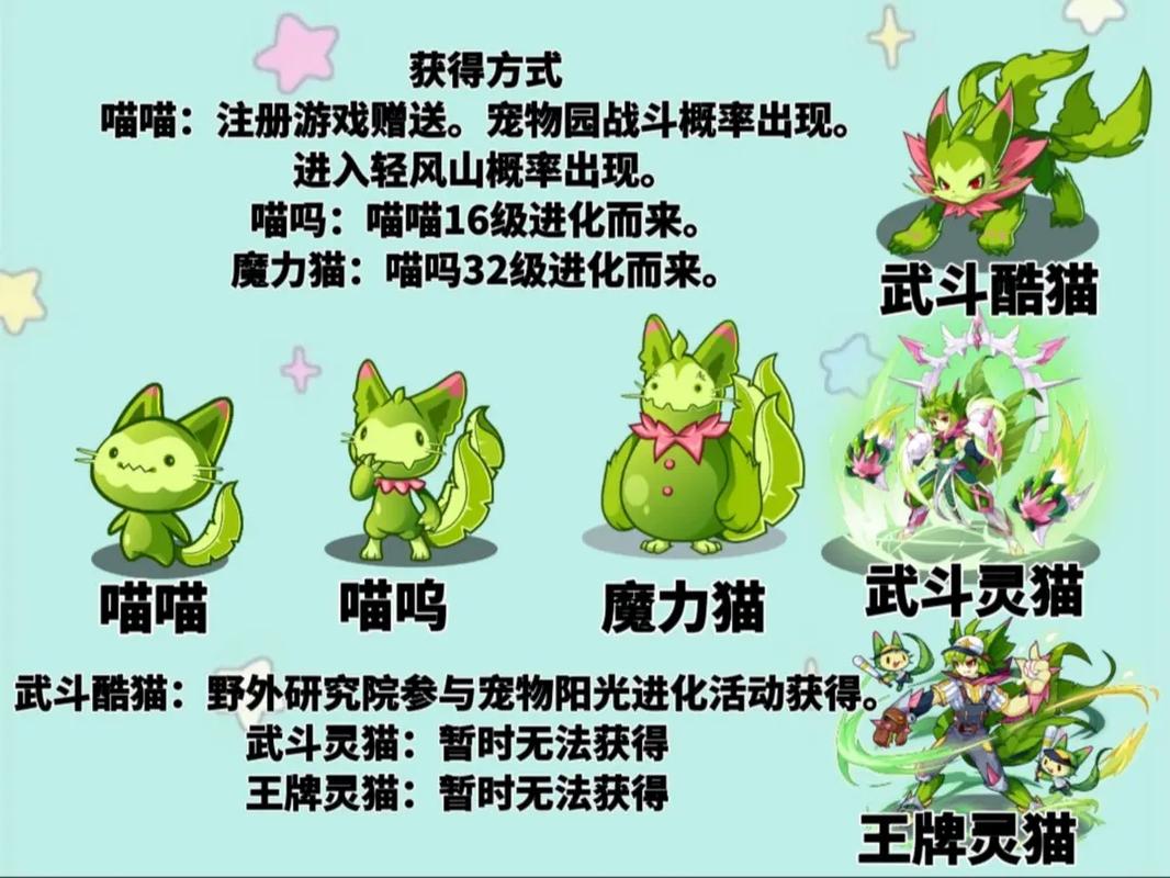 洛克王国t0级别宠物武斗酷猫怎么超进化武斗灵猫